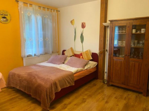 Alba Apartmany Železná Ruda Zelezná Ruda